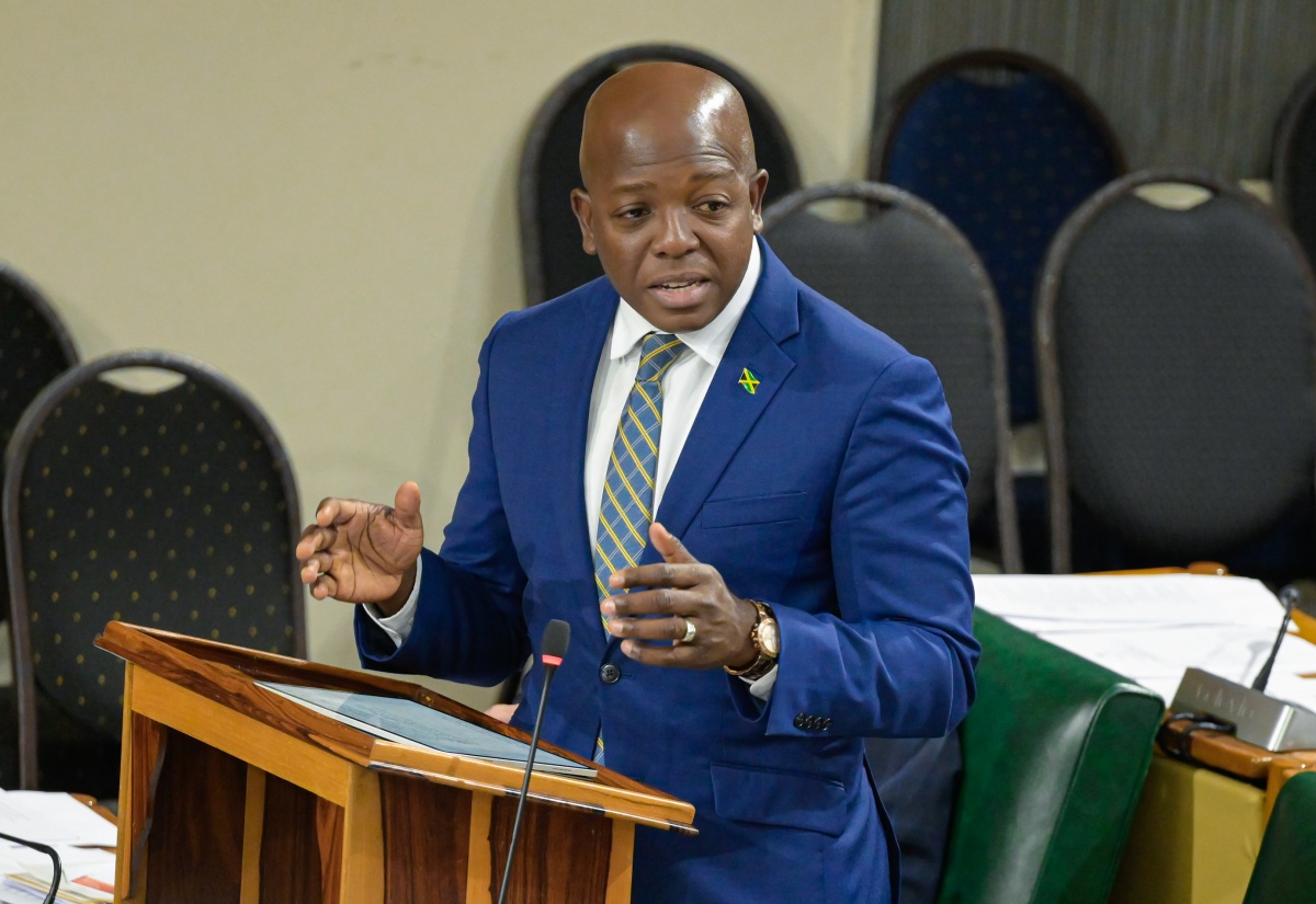 Preparations Advancing for Review of Disabilities Act