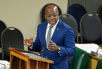 Minister of Labour and Social Security, Hon. Pearnel Charles Jr., delivers a statement to the House of Representatives on Tuesday (February 11).

