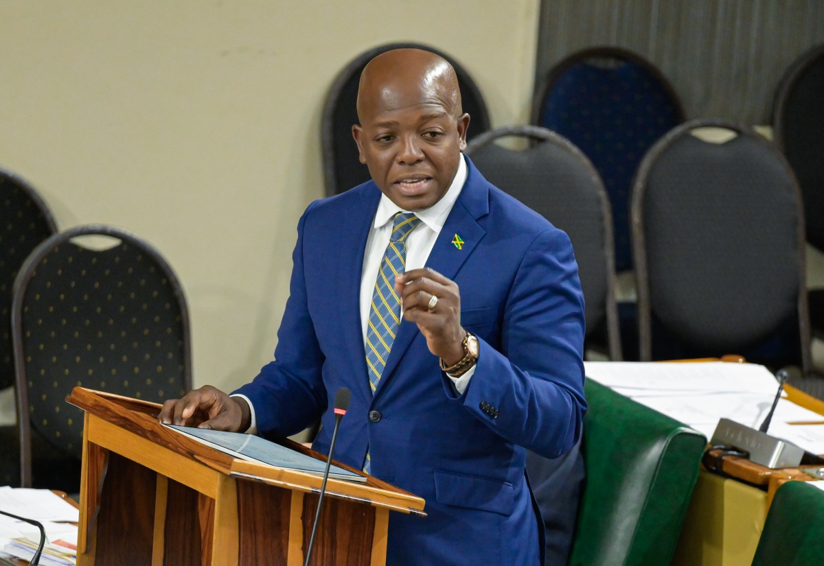 Approximately 17,130 Persons Registered with Jamaica Council for Persons with Disabilities