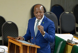 Minister of Labour and Social Security, Hon. Pearnel Charles Jr., delivers a statement in the House of Representatives on Tuesday (February 11).

