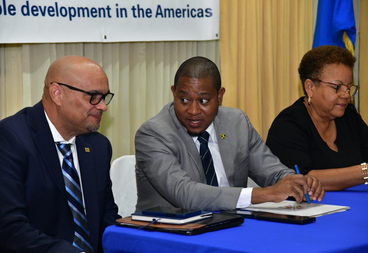IICA Launches ‘Next Generation Sweet Potato Production in the Caribbean’ Project