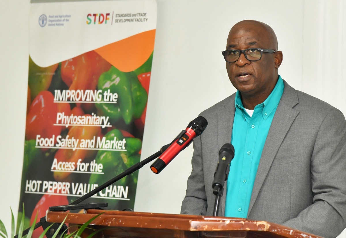 Chief Technical Director Reiterates Importance of Safeguarding Jamaica’s Food Security