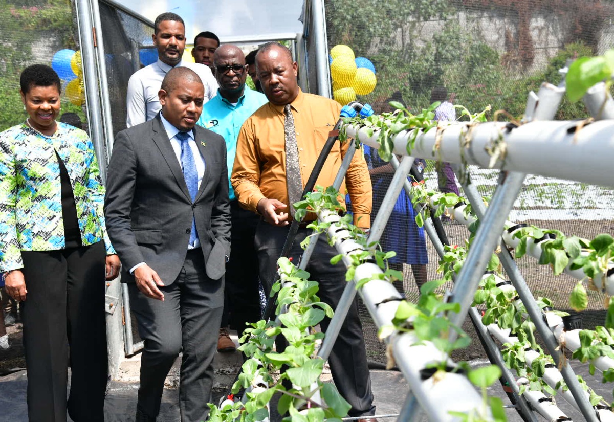 Papine High School Greenhouse to Boost Agricultural Training, Income Generation