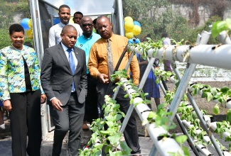 Papine High School students, Sue-Ann Barrett (left) and Rahiem Marshall, deliver the vote of thanks at the recent launch of a greenhouse project at the school’s campus in St. Andrew.

 