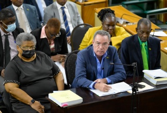 Science, Energy, Telecommunications and Transport Minister, Hon. Daryl Vaz (centre) addresses Friday’s (March 7) meeting of the Standing Finance Committee in the House of Representatives, whose members are reviewing the 2025/26 Estimates of Expenditure. Also pictured are (from left) Permanent Secretary in the Ministry, Carol Palmer; and Minister of State in the Ministry, Hon. J.C Hutchinson.

