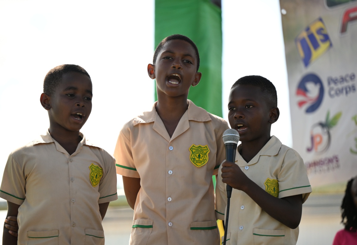 St. Thomas Cassava Festival to Become Annual Event