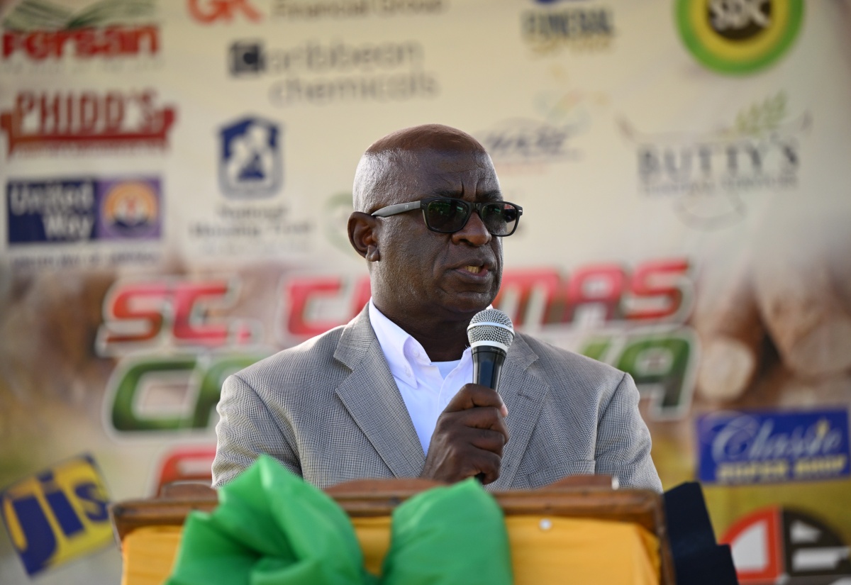St. Thomas Cassava Festival to Become Annual Event