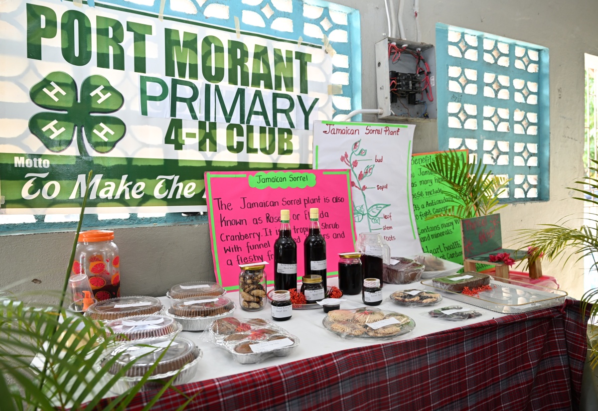 Best of St. Thomas 4-H Clubs Showcased at Parish Expo 2025