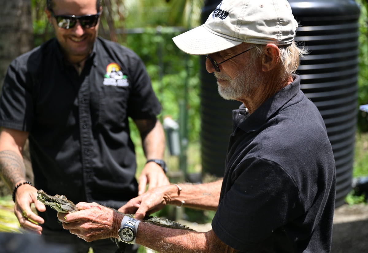 Holland Bay Sanctuary: A Vital Safe Haven for Jamaica’s Crocodiles