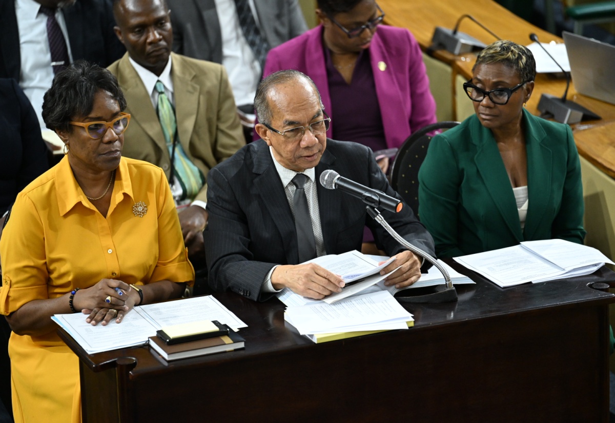 Minister of National Security, Hon. Dr. Horace Chang (centre), addresses meeting of the Standing Finance Committee of the House on March 6. He is joined by other representatives from the Ministry, including Permanent Secretary, Ambassador Alison Stone Roofe (left) and Minister of State in the Ministry, Hon. Juliet Cuthbert-Flynn (right).

