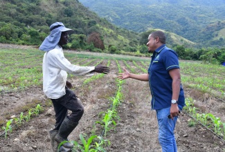 Minister of Agriculture, Fisheries and Mining, Hon. Floyd Green (right), greets an onion farmer during a recent farm tour in St. Thomas Western. 

