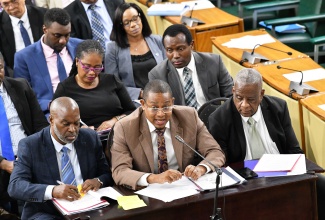 Minister of Agriculture, Fisheries and Mining, Hon. Floyd Green (centre, front row), addresses the Standing Finance Committee of the House of Representatives on March 7. He is flanked by State Minister, Hon. Franklin Witter (right), and Permanent Secretary in the Ministry, Dermon Spence.

