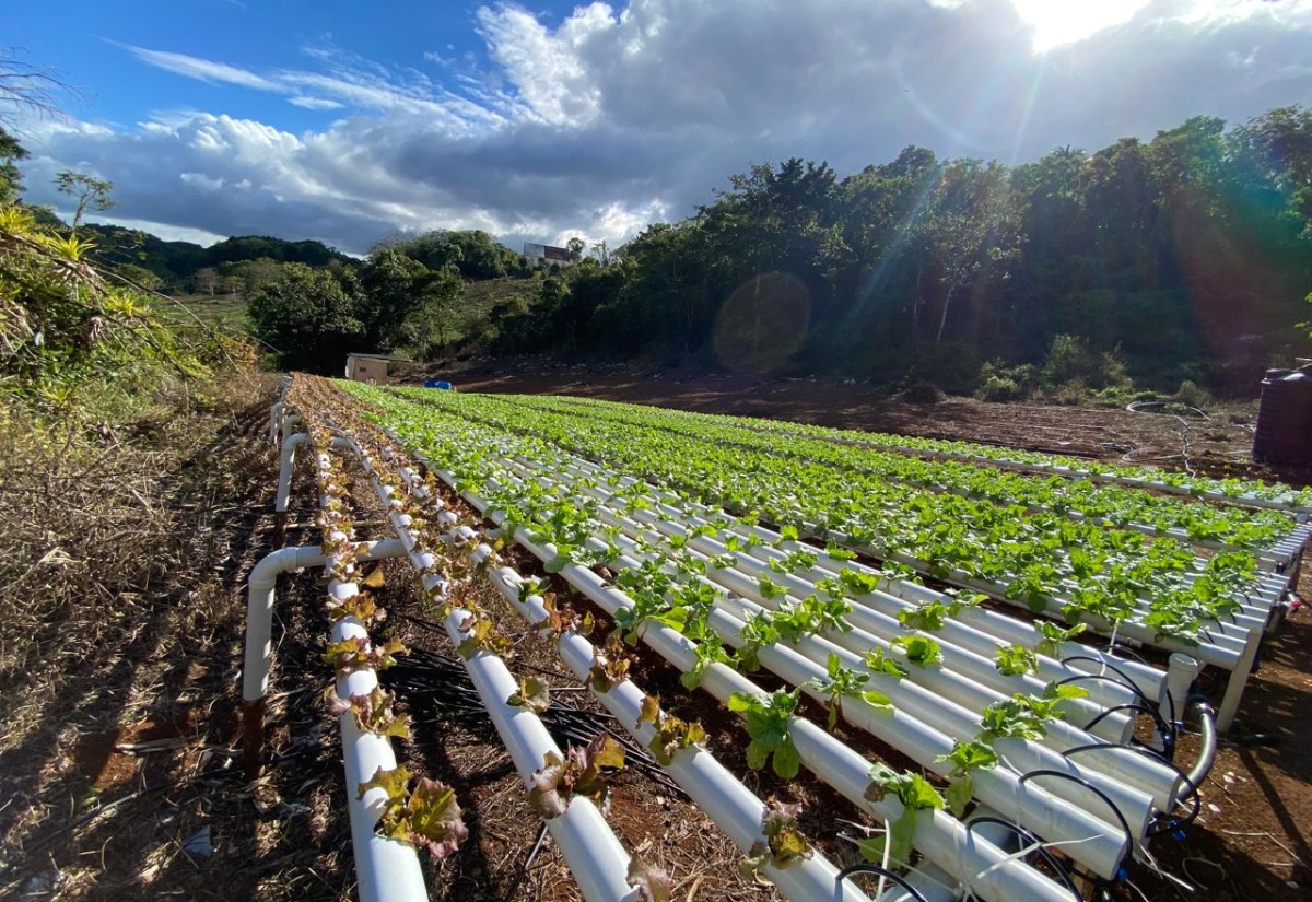 Young Farmer Grasps Opportunity Presented by YREEP
