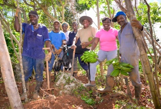  Some members of the White family show a few of the animals and produce on their farm in Craighead, Manchester during a recent visit. Included are (from left) Kevin Watson, Ranoy White, mother, Thelma White and her grandson Nelson Maxwell, her son Orando White, daughter Sashoy White-Bailey and Clarence White.