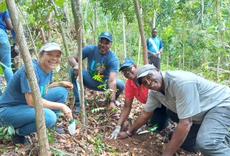 Regional Public Relations Manager for Sandals Ocho Rios, Lyndsay Isaacs (left), along with (from second left) General Manager, Sandals Ochi Beach Resort, Gary Holgate; Jamaica Fire Brigade (JFB) Assistant Commissioner in charge of Area Two, Julian Davis-Buckle, and Forest Manager at the Forestry Department’s North West Regional Office, Ian Wallace, plant a tree during the Sandals Foundation’s Earth Day initiative at the Dunn’s River Watershed, Bogue Estate, Ocho Rios, St. Ann, on Tuesday (April 22).

