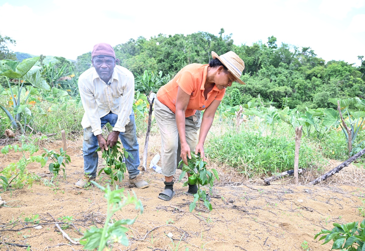 Unwavering Love for Farming Keeps Couple Very Active