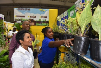 Head of Marketing, Scotia Bank Jamaica, Tonya Russell (left) and Senior Vice President, Commercial Banking, Scotia Centre, Morris Nelson (centre), are shown potted plants by a representative from the National Solid Waste Management Authority (NSWMA), Claudia Nelson, during a tour of the Authority's exhibition booth at EXPO Jamaica 2025, at the National Indoor Sports Centre in Kingston on April 4.


