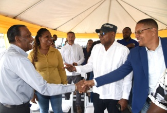 Tourism Minister, Hon. Edmund Bartlett (second right), introduces Kingston Central Member of Parliament, Donovan Williams (right), to Chief Executive Officer (CEO), Culture, Health, Arts, Sports and Education (CHASE) Fund, Wilford ‘Billy’ Heaven, during the Rae Town Futsal Court ribbon cutting ceremony on Friday (April 11). The event was held at the Rae Town Multipurpose Facility in Kingston. Sharing the moment is CEO of the Grace and Staff Community Development Foundation, Sandrina Davis.