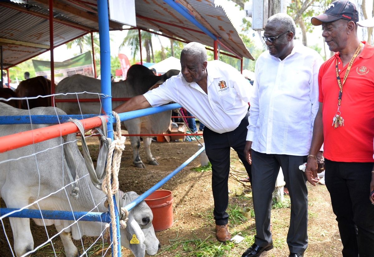42nd Annual Montpelier Agricultural Show on Easter Monday