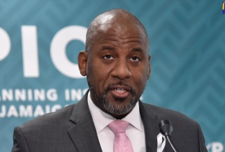 Director General of the Planning Institute of Jamaica (PIOJ), Dr. Wayne Henry.