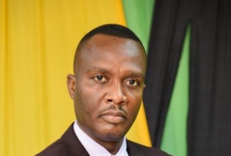 Chief Technical Director, Security Risk Reform and Transformation Policy Division in the Ministry of National Security, Delroy Simpson.