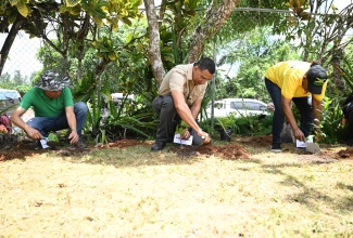 Prime Minister, Dr. the Most Hon. Andrew Holness (centre), is joined by Deputy Prime Minister and Minister of National Security, Hon. Dr. Horace Chang (left) and Minister of Culture, Gender, Entertainment and Sport, Hon. Olivia Grange, in planting trees at the Mason River Environmental and Research Park in Clarendon, during National Labour Day activities on May 23. Labour Day 2025 was celebrated under the theme