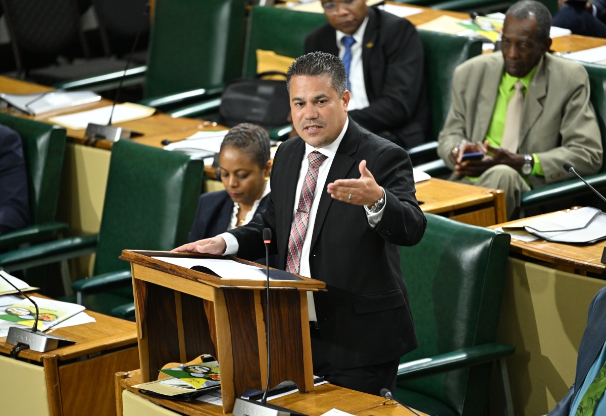 Minister without Portfolio in the Ministry of Economic Growth and Job Creation, Hon. Matthew Samuda, makes his contribution to the 2025/26 Sectoral Debate in the House of Representatives, on May 27.