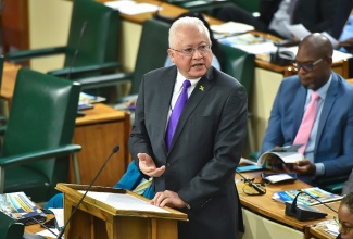 Minister of Justice, Hon. Delroy Chuck, addresses the House of Representatives.

