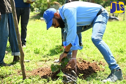 Mayor of Black River and Chairman of the St. Elizabeth Municipal Corporation, Councillor Richard Solomon, plants a flower as part of activities for the St. Elizabeth Labour Day Parish Project in Maggotty on May 23.