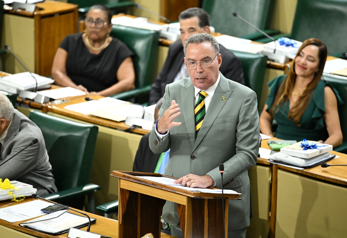 Science, Energy, Telecommunications and Transport Minister, Hon. Daryl Vaz, makes his presentation in Tuesday’s (May 20) Sectoral Debate in the House of Representatives