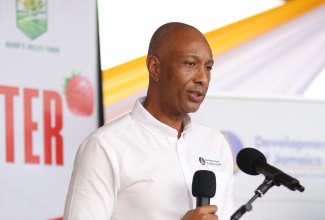Dr. David Lowe, Managing Director, the Development Bank of Jamaica speaks at the recent Strawberry Cluster launch held in Manchester. This initiative was funded by the Jamaica Business Fund, a component of the Development Bank of Jamaica’s Boosting Innovation, Growth and Entrepreneurship Ecosystems (BIGEE) Programme. Since its launch in September 2020, BIGEE has disbursed over US$9.9M to more than 1,462 Jamaican MSMEs. These resources were strategically allocated in line with the Programme’s objectives to catalyse innovation and entrepreneurial development. With the globally acclaimed success of Phase I of BIGEE, the design of Phase II is currently underway, where the organisation remains focused on building on the project’s momentum.