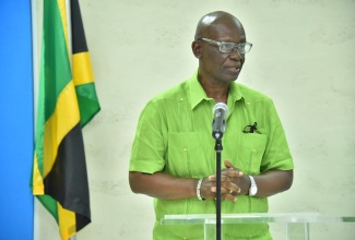 Minister of Local Government and Community Development, Hon. Desmond McKenzie.
