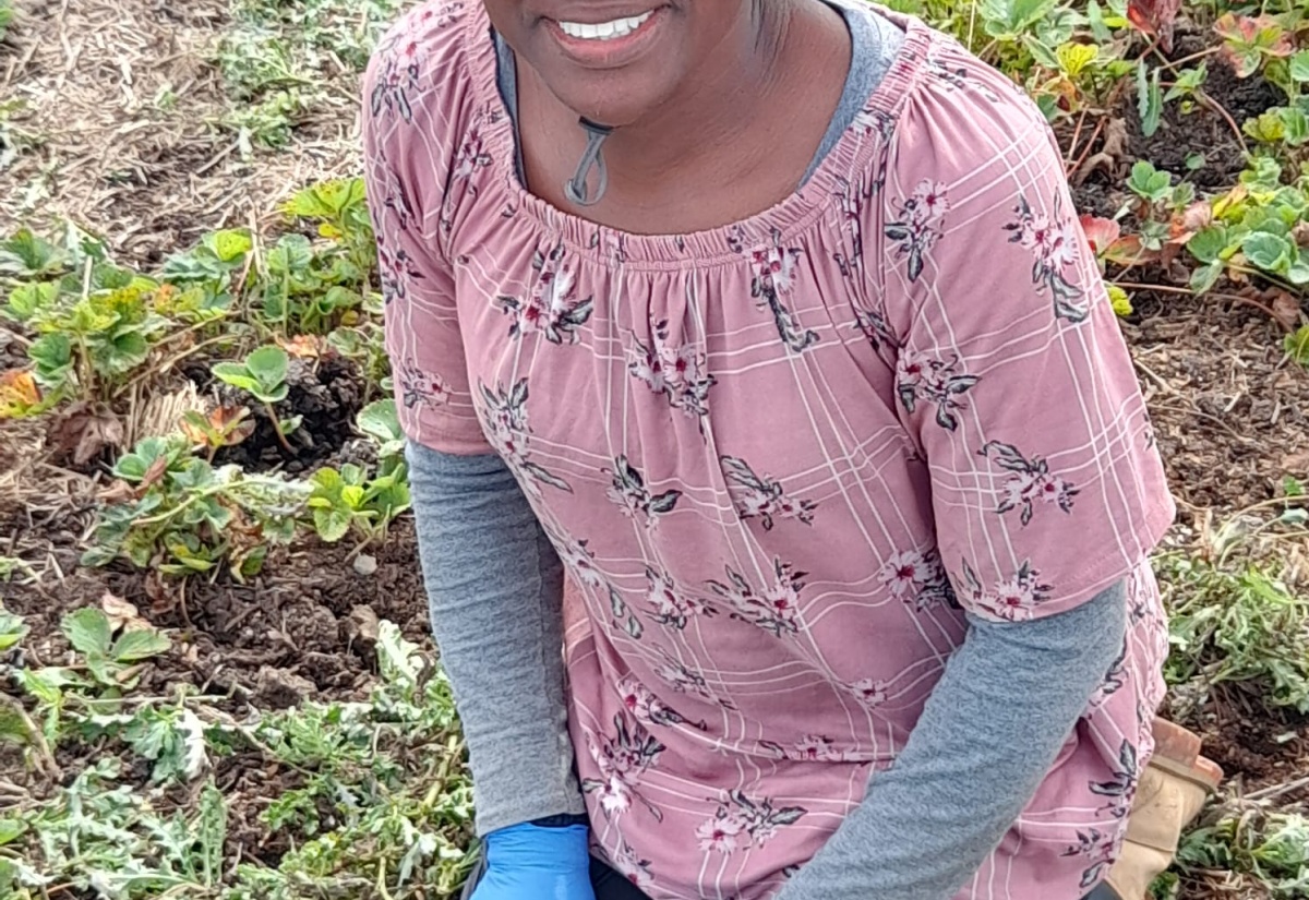 Overseas Employment Programme Secures Jobs for 14,350 Jamaican Across North America in 2024