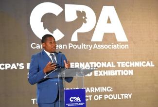 Gov’t Adopts Bird Flu Safegards for Poultry Sector
