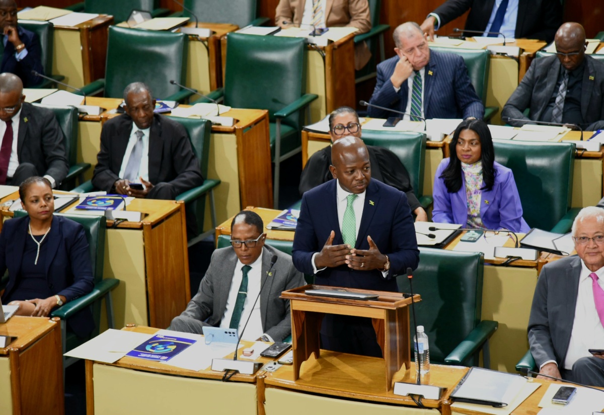 Minister of Labour and Social Security, Hon. Pearnel Charles Jr., makes his contribution to the 2025/26 Sectoral Debate in the House of Representatives, on Tuesday (May 13).
