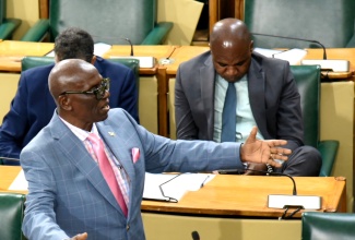 Minister of Local Government and Community Development, Hon. Desmond McKenzie, makes his contribution to the 2025-26 Sectoral Debate in the House of Representatives on Wednesday (May 28).
