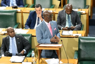 Minister of Local Government and Community Development, Hon. Desmond McKenzie, makes his contribution to the 2025-26 Sectoral Debate in the House of Representatives on Wednesday (May 28).