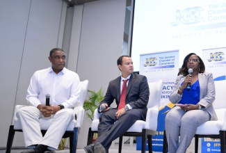 Chair, Pharmacy Council of Jamaica, Dr Ernestine Watson, responds to questions regarding illicit drugs during the Jamaica Chamber of Commerce (JCC) inaugural Anti-Illicit Trade Forum, at the AC Marriott Hotel in Kingston on Wednesday (April 30). The other panellists are (from left) General Manager, Spirits Pool Association, Christopher Gentles; and Head of Trade, Carreras Limited, Emmanuel Ruiz.


