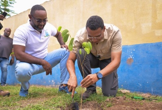 Prime Minister and Member of Parliament for St. Andrew West Central, Dr. the Most. Hon. Andrew Holness (right), plants a tree at Penwood High School in his constituency on Labour Day (May 23). Looking on is the institution’s Principal, Omar Largie.

