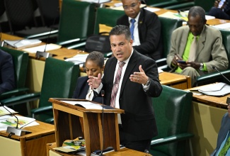 Minister without Portfolio in the Ministry of Economic Growth and Job Creation, Hon. Matthew Samuda, making his contribution to the Sectoral Debate in the House of Representatives on May 27.