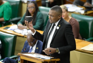 Minister without Portfolio in the Ministry of Economic Growth and Job Creation with Responsibility for Works, Hon. Robert Morgan, displays a block of asphalt while making his 2025/26 Sectoral Debate presentation in the House of Representatives on Tuesday (June 3).