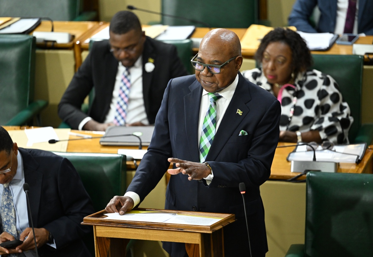 ourism Minister, Hon. Edmund Bartlett, makes his 2025/26 Sectoral Debate presentation in the House of Representatives on Tuesday (June 17).