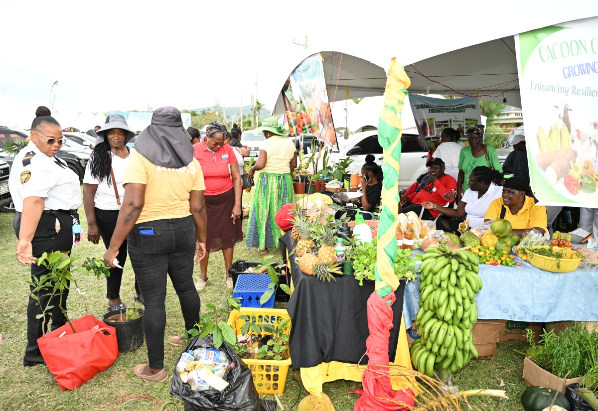 Youth in Agriculture Policy Advanced