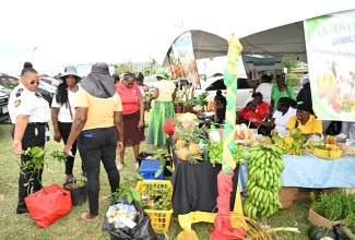 A wide array of fresh fruits and vegetables are on display at the Hanover Agricultural Show held at Watson Taylor Park in Lucea, Friday, May 30.

