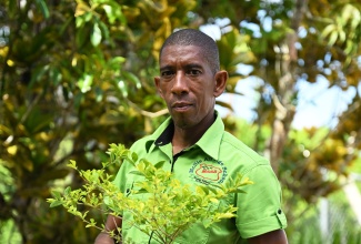 Principal of McNie All Age School, Clarendon, Asa Harriott

