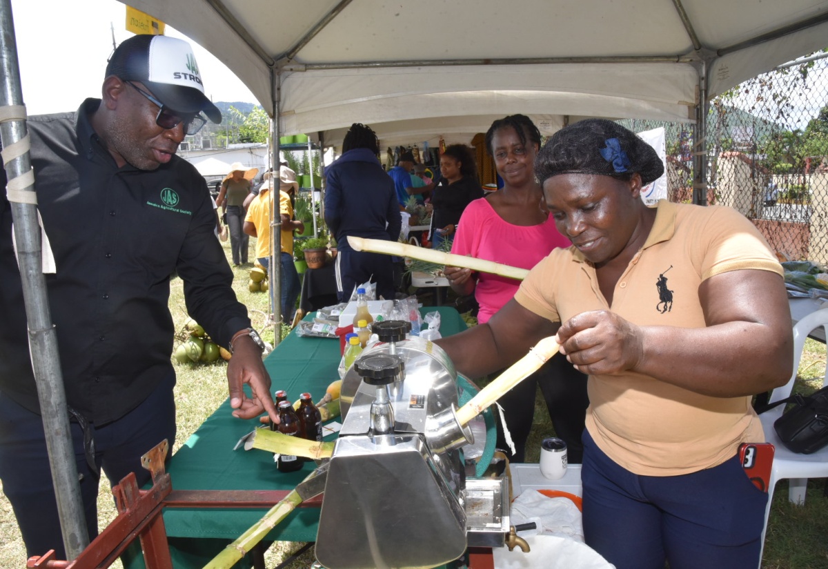 Local Value-added Products Showcased at Agrofest 2025