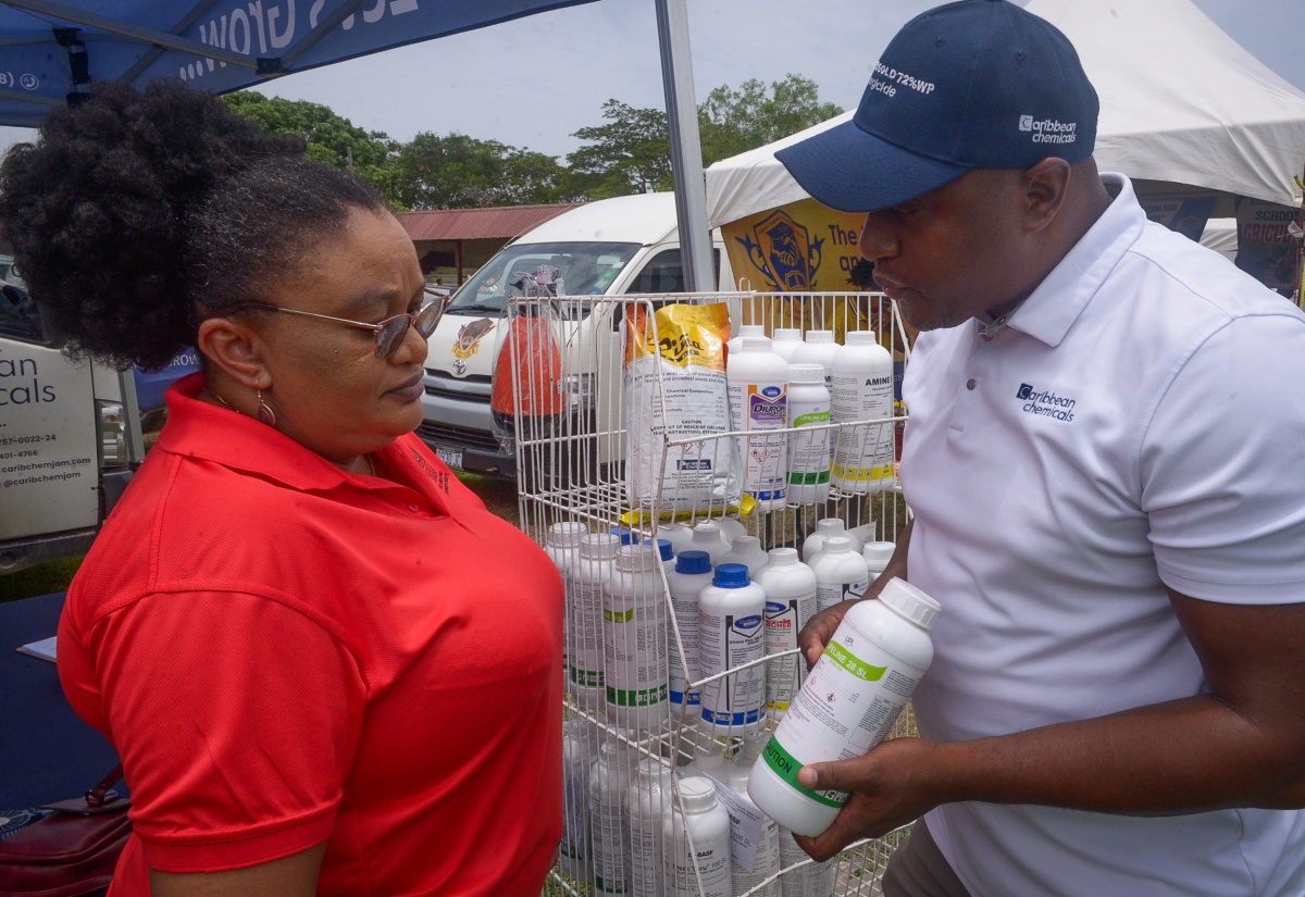 Photos: RADA St. Catherine Parish Show