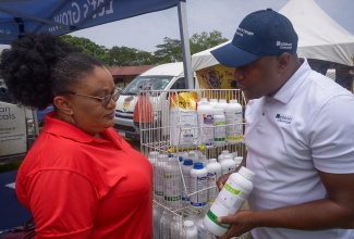 Product Development Agronomist at Caribbean Chemicals, Nickel Dadsy, shows a product to Rural Agricultural Development Authority (RADA) St. Catherine Parish Manager, Ruth Barrett, during the RADA St. Catherine Parish Show, held on June 26 at Chedwin Park Cricket Ground in Old Harbour.
The event showcased RADA’s services through stakeholder exhibitions and hands-on demonstrations of agricultural best practices.