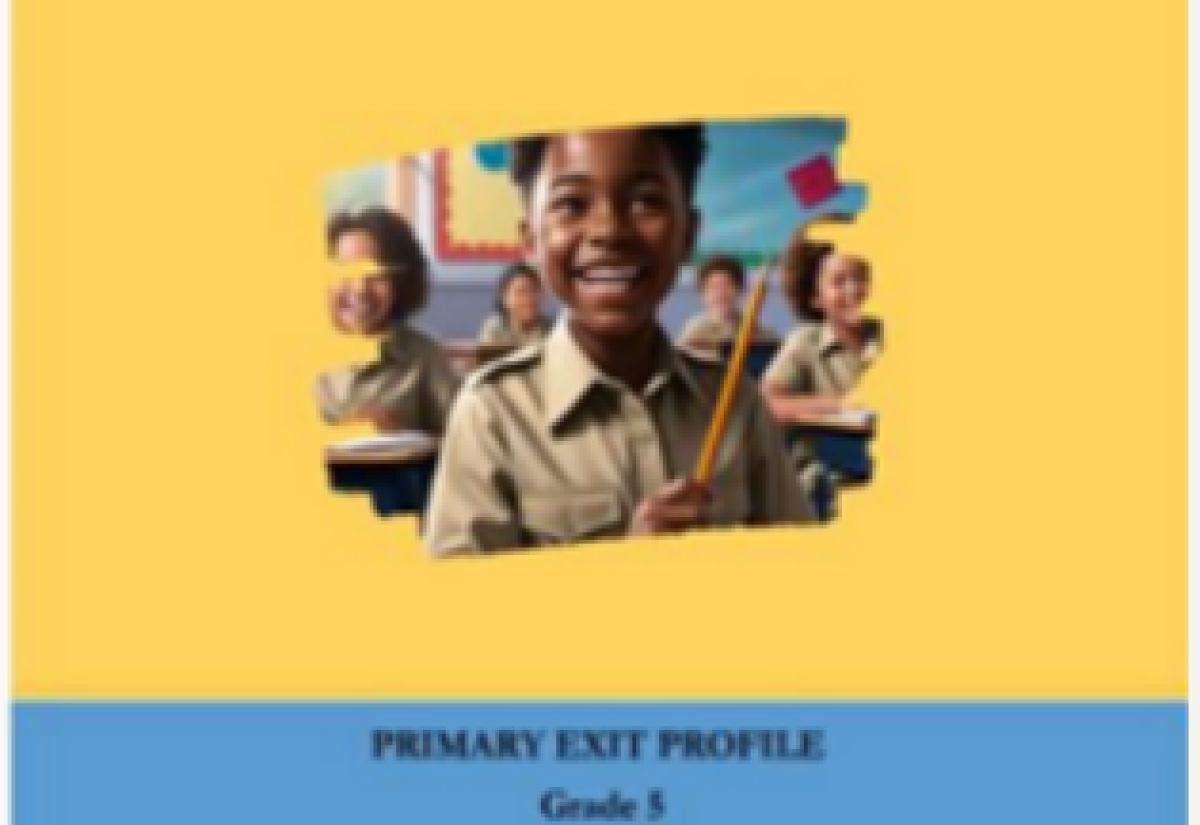PEP Results Publication to Assist All Primary Schools