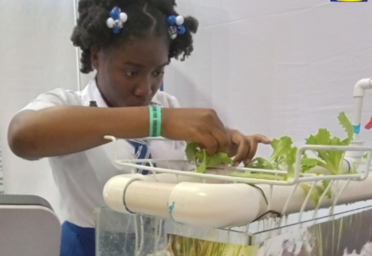 Tanoya Garvey Wins 4-H Innovator Award For Aquaponic System